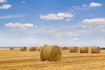 Fototapeta na wymiar A field with straw bales after harvest on the sky background