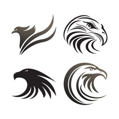 Falcon logo template vector