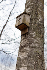 old wooden birdhouse hanging on a tree