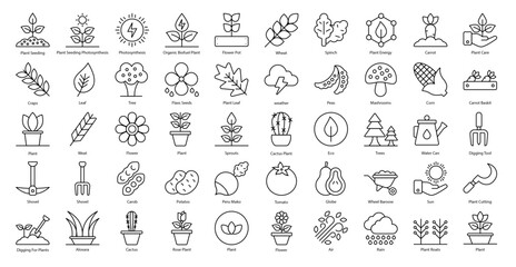 Plant Based Thin Line Icons Plants Flower Gardening Icon Set in Outline Style 50 Vector Icons in Black 