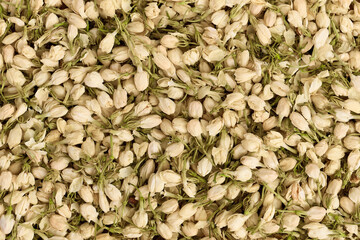 Background of dried jasmine flowers close-up, jasmine green tea - 592318884