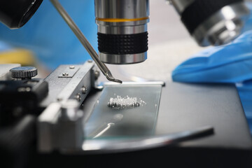 Scientist examines crystals under microscope in laboratory