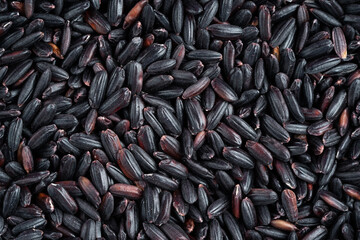 Whole grain black rice texture. Top view, macro shot