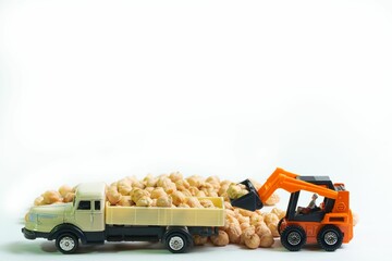 an excavator loads a truck with dried chickpeas