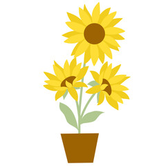 Obraz premium Illustration of Flat sunflower 