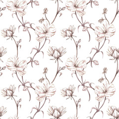 Seamless pattern ranunculus monochrome isolated on white. Watercolor hand draw peony botany illustration. Art for design