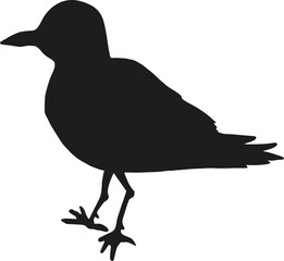 silhouette of a lake gull on a white background. Cute bird. Vector image.