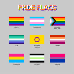 LGBT sexual identity pride flags gender collection. Flag of gay, lesbian, transgender, bisexual. Vector Illustration
