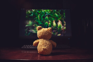 A little toy bear watching a movie on a big computer screen. Loneliness, focus, concept