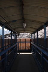 ローカル駅の高架橋と桜