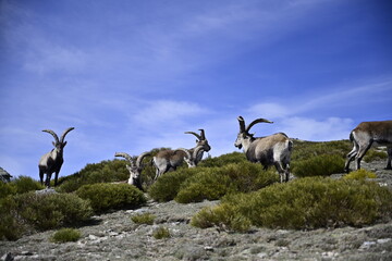 De ruta hacia Bailanderas