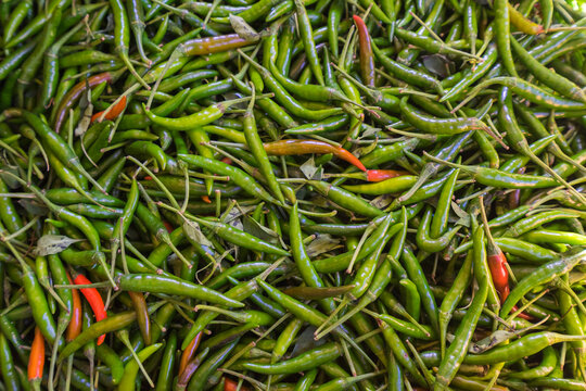 Detail of green chili peppers at market, Hsipaw, Shan State, Myanmar
