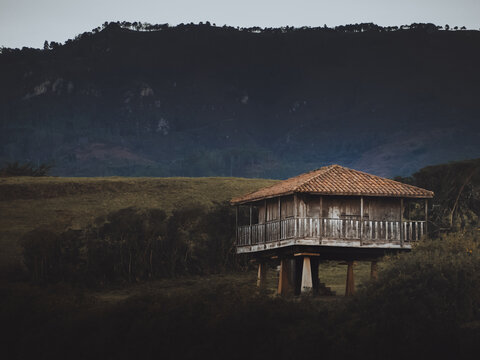 View of a meadow with wooden horreo to store grain in Asturias, Europe, Spain
