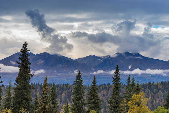 Scenic view of forest and mountains, Denali National Park and Preserve, Alaska