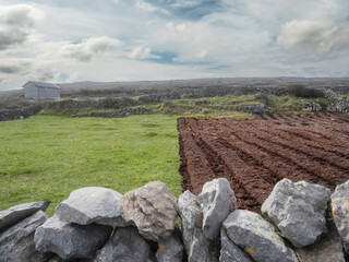 Patch of freshly ploughed land next to green grass field. Agriculture industry. Nobody. Growing...