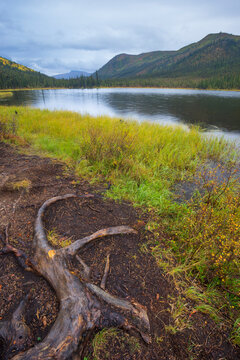 Triple Lakes, Denali National Park, Alaska