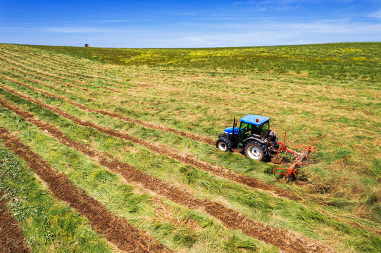 Blue tractor with hay tedder at work on agricultural mowed field, aerial side view