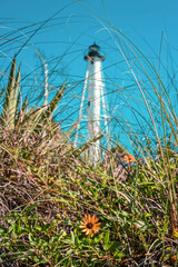 lighthouse on the coast of island