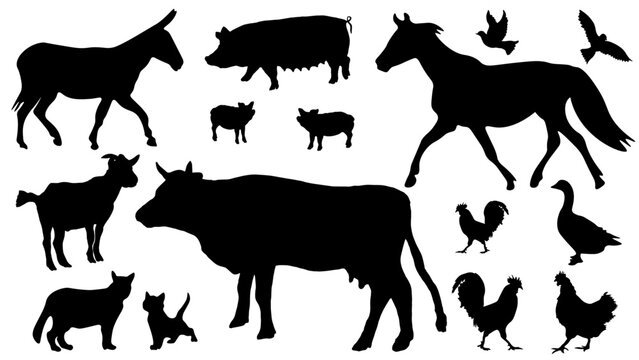 Farm animal vector illustration symbol icon set collection - Black silhouette of animals, isolated on white background
