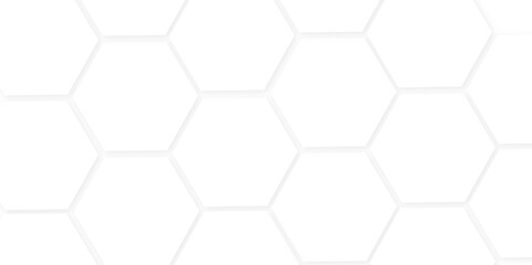 Hexagon concept design abstract technology background. Modern simple style hexagonal graphic concept. Abstract white background with hexagonal shapes and Surface polygonal pattern with glowing hexagon