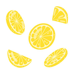 Set of hand drawn lemon slices. vector illustration of cut tasty citrus, healthy food, summer fresh fruit