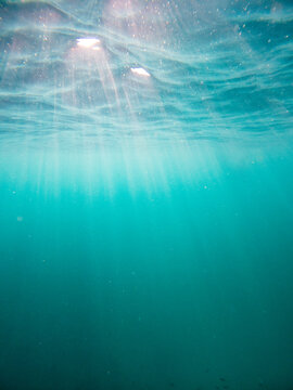 underwater scene with bubbles