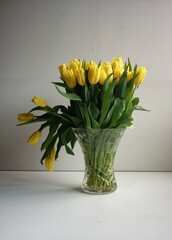 Good bye Easter. Yellow tulips in a vase.