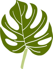 Simplicity monstera leaf freehand drawing
