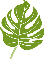 Simplicity monstera leaf freehand drawing