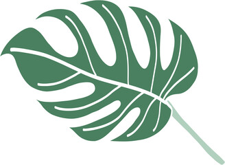 Simplicity monstera leaf freehand drawing