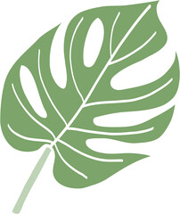 Simplicity monstera leaf freehand drawing © tanarch