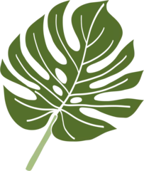Foto auf Alu-Dibond Monstera Simplicity monstera leaf freehand drawing