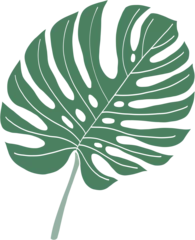 Fototapete Monstera Simplicity monstera leaf freehand drawing