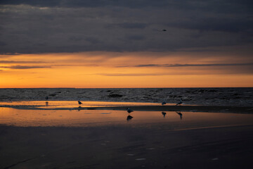 sunset on the Baltic sea