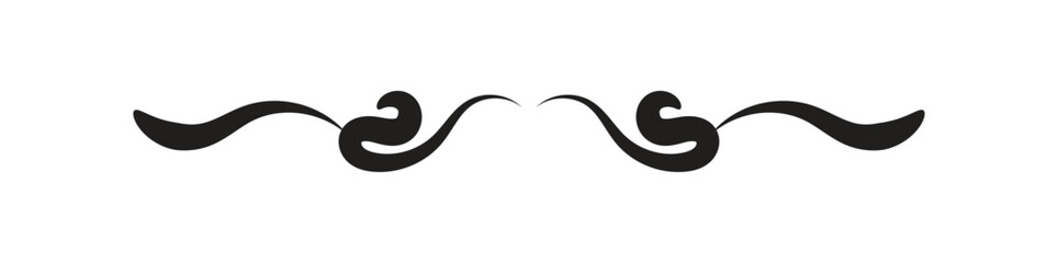 Simple Divider with black color on white background