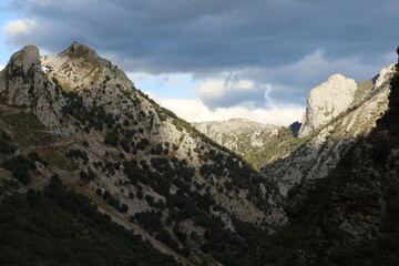 Curvas de carretera de montaña