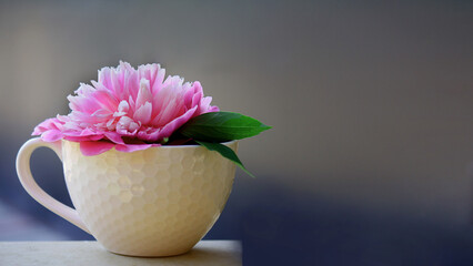 a mug with a peony. beautiful summer flowers. calm background
