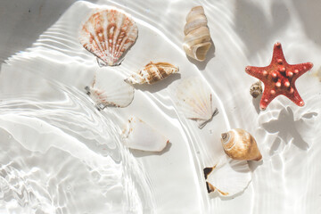 Obraz na płótnie Canvas sea ​​shells and starfish, tropical water background, aqua texture