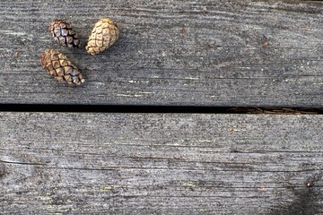Closeup of a wooden deck with pine cones