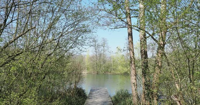 Gr&uuml;ttsee in L&ouml;rrach. Ruhige Wasser des kleinen Sees