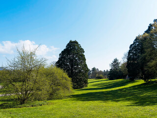 Obraz premium Landschaftspark Grütt in Lörrach - Der größte Park in Lörrach mit Rasen- und Pflanzflächen 