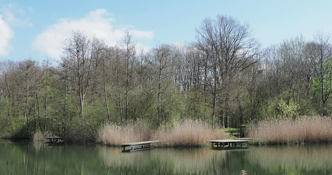 Gr&uuml;ttsee in L&ouml;rrach. Ruhige Wasser des kleinen Sees, h&ouml;lzerner Ponton umgeben von Schilf und fr&uuml;hlingsbl&uuml;henden B&auml;umen
