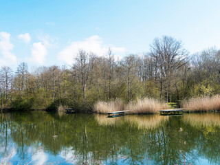 Grüttpark in Lörrach. Ufervegetation des Grüttsees, hölzerner Ponton, umgeben von Schilf und...