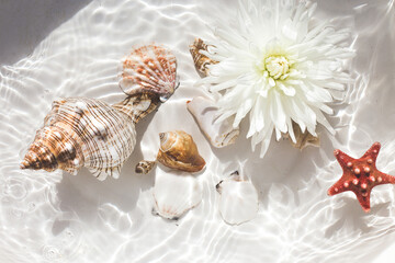 undersea, tropical aqua water texture