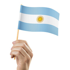 Hand holding flag of Argentina, cut out