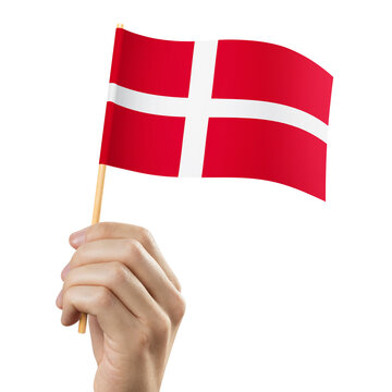Hand holding flag of Denmark, cut out