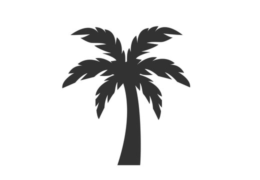 Coconut palm tree, black icon.