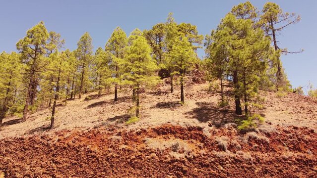 Park del Teide