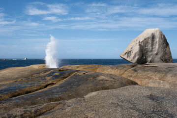 Blowhole at Bicheno beach erupting water in Tasmania, Australia