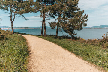 dirt road through the forest by the sea